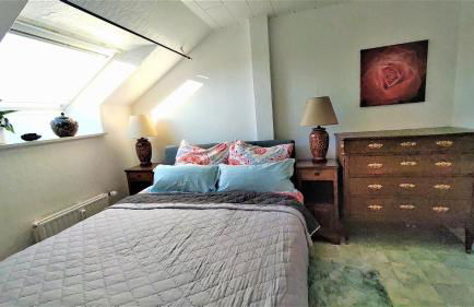 Golden Treasure Superior - Foto 25