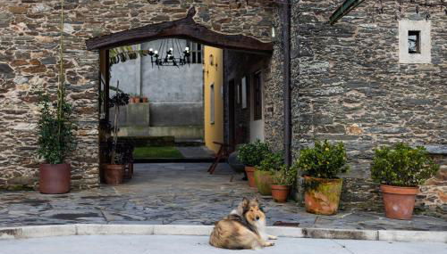 Casa A Curiscada - Foto 5