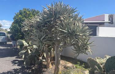 Apartment Luna FKK Nudist Place - Foto 27