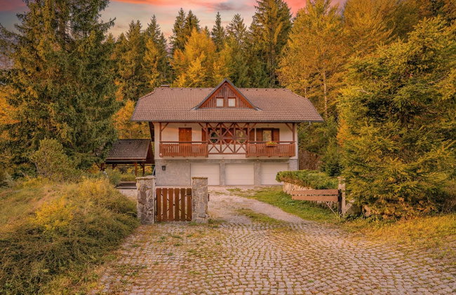 Alpine Retreat Gaja Kranjska Gora - Foto 18