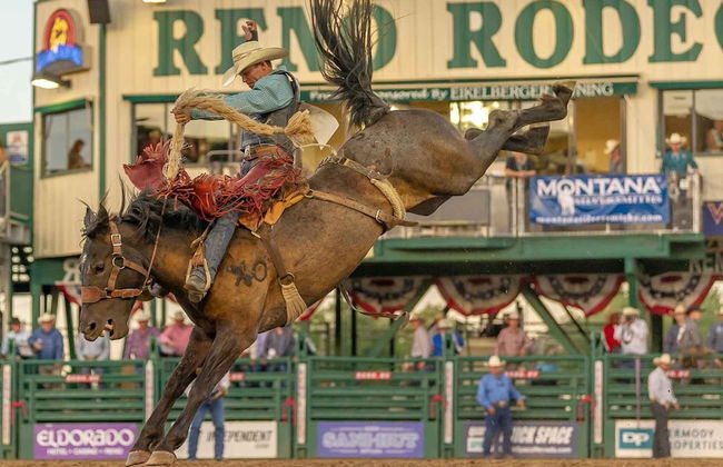 New Stylish 1BR Apt With Heated Pool Gym Yoga Studio - Foto 37