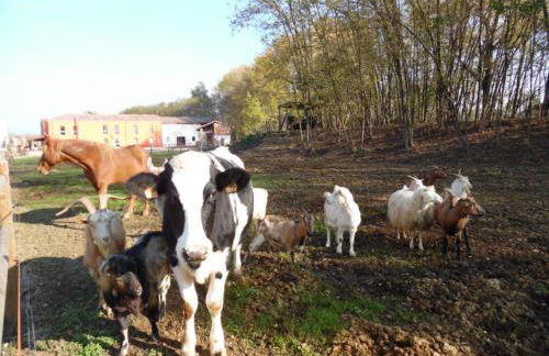 All'Antica Ruggine - Photo 37