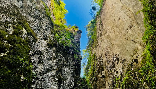 Day Trip to Seven Ladders Canyon - Foto 5