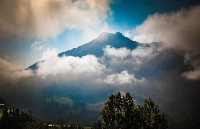 Apartment in Flachau Near Ski Lift - Foto 30