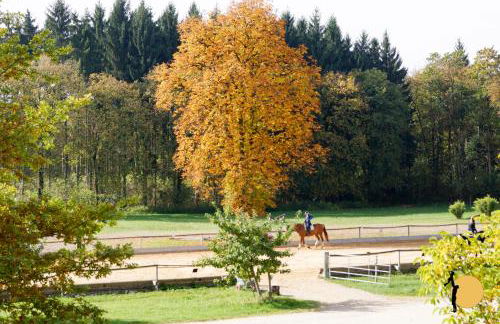 Ferienwohnungen Gut Mischenried - Foto 29