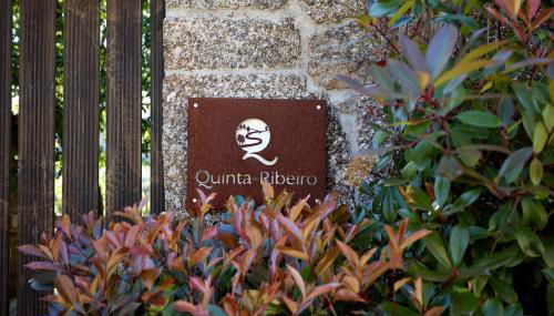 Ribeiro Country Villa com Piscina a 30 min do Porto - Foto 2, Garden, Garden view