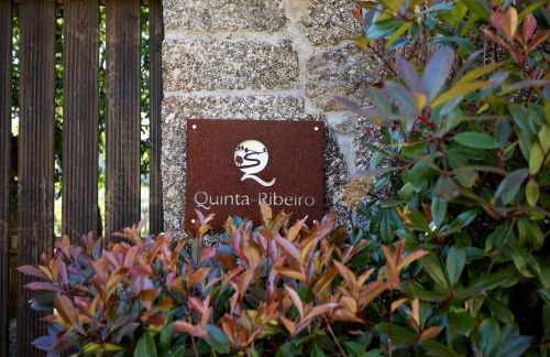 Ribeiro Country Villa com Piscina a 30 min do Porto - Foto 2