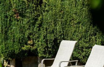 Pool Spa Games Peaceful Garden Retreat - Foto 68