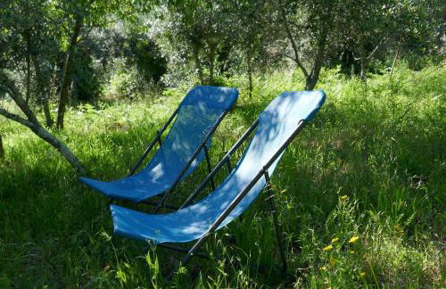 Casa Laranjeira - Foto 26