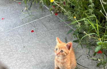 Borgo del Sole - Foto 9