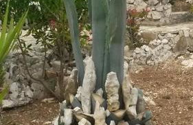 Cosy house by the sea - Foto 58