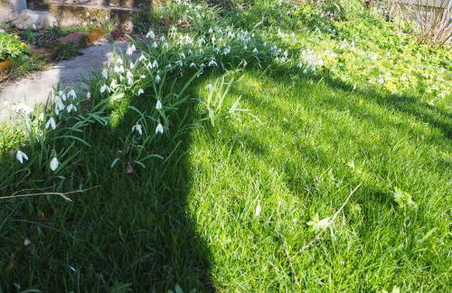 Apartment Schlossblick - Top location - Foto 29