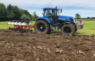 Ferien auf dem Eliesenhof - Foto 31