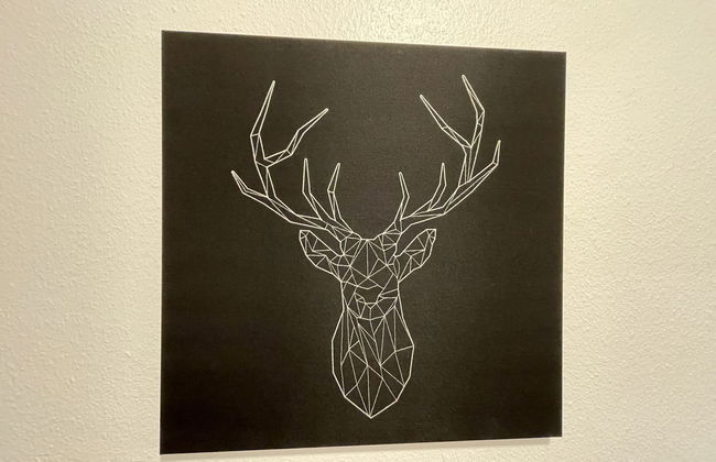 Schwarzwaldblick - Foto 15