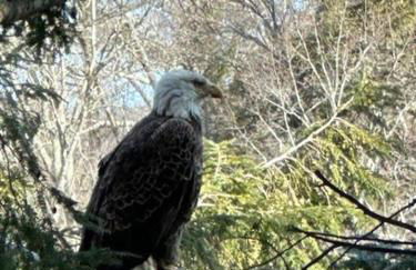 Lake Haven - Foto 39