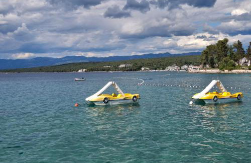 APARTMAN IVONA U PRIZEMLJU - Foto 47