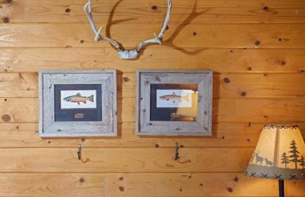 Wild Bills Cabin - Foto 12