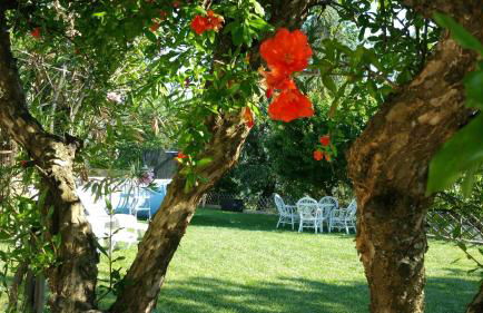 La Casatella Agriturismo - Foto 26