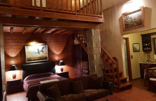 Pallas Casa - Photo 32