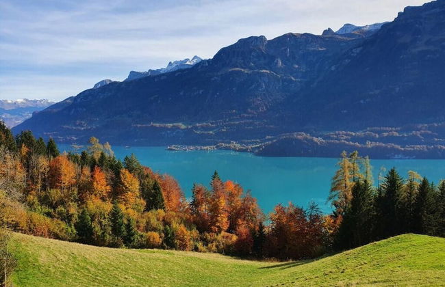 Apartment Chalet Beatrice Share - Foto 11