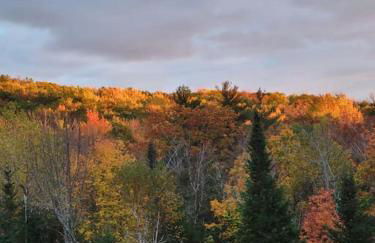 Vana Kuti-cabin in the woods - Foto 16