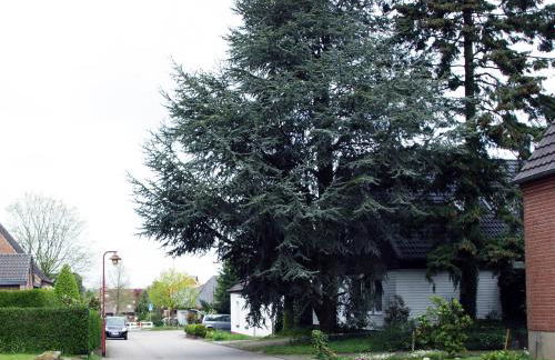 Ferienwohnung HeeserBerg Xanten - Foto 34