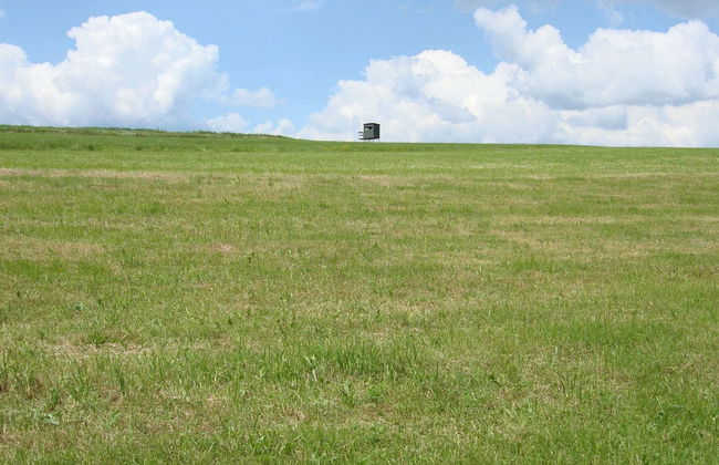 Hillside Cottage Near Winterberg - Foto 18