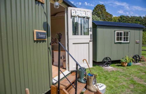 Shepherds Huts Tansy & Ethel in rural Sussex - Foto 11