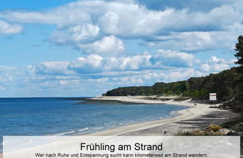 Ostsee-Urlaub-Zempin direkt am Küstenwald, nur wenige Minuten zum Strand, optimal für Paare mit 1 Hund bis 45 cm Schulterhöhe - Foto 37