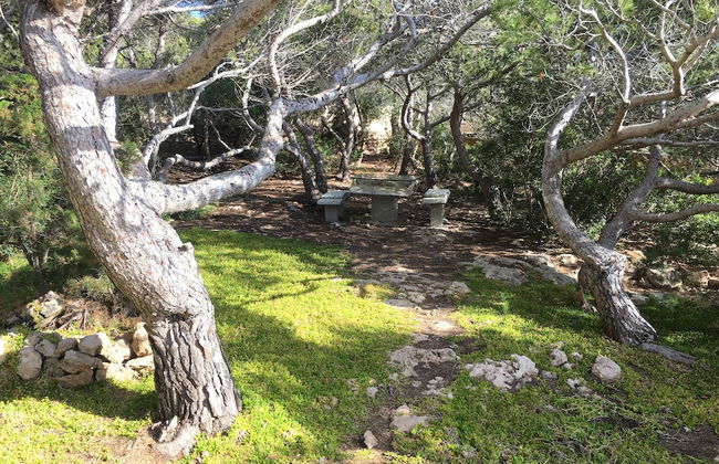 Carpe Diem - Photo 38