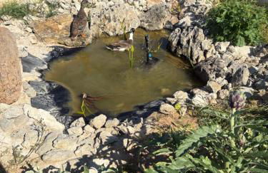 Masseria Causio - Foto 22