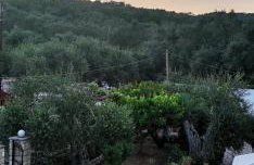 Alegria apartments - Photo 23