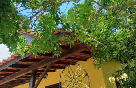 Coração do Rosa -A poucos passos do melhor do Rosa - Foto 26