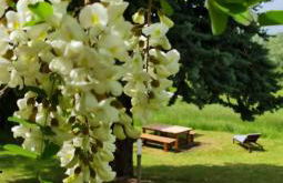 dalla fortezza al mare - la vostra casa a San Leo - Foto 24