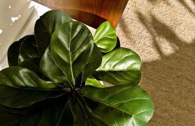 Mara's Apartments Higuerón West - Nordic Style - Sunny Terrace - Foto 25