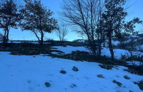 Bougainvillea casa vacanza - Foto 38