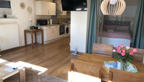 Rheingau und Weltkulturerbe Mittelrheintal erleben - Ferienappartement in Winkel - Foto 2