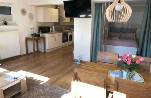 Rheingau und Weltkulturerbe Mittelrheintal erleben - Ferienappartement in Winkel - Foto 2