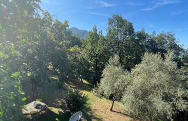 Adorable gîte - Le figuier - Foto 13