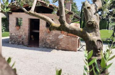 Agriturismo Corte Davini - Photo 42