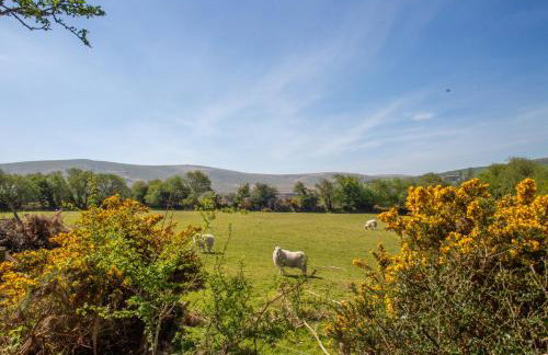 The Barn - Brynberian, Eglwyswrw - Foto 18