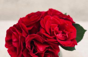 Dalmatian House, spacious stone terraces, balcony , views - Foto 52