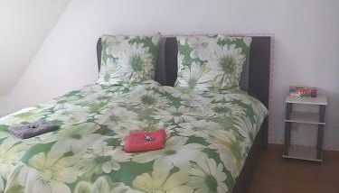 Ueber den Dächern von Alzey - Foto 2