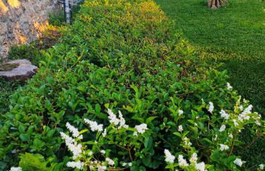 Il Giardino di Athena 1 - Foto 3