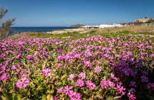 Ciuri Ciuri - Foto 55