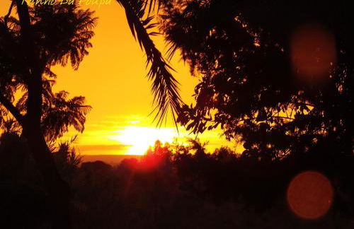 Ninho Da Poupa - Foto 45