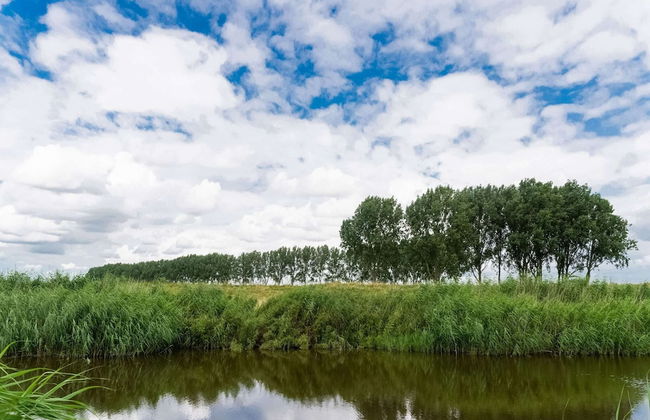 Idyllic Holiday Home in Ooltgensplaat With Private Terrace - Photo 34