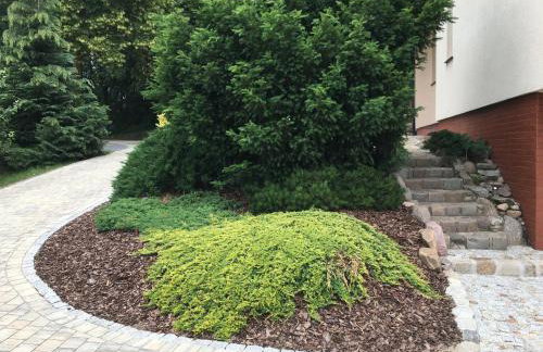 W Starym Sadzie - Foto 31