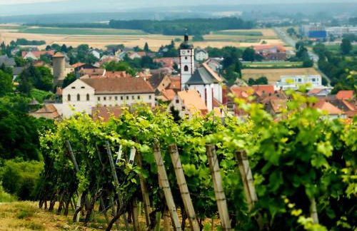 Apartment with a great view - Foto 4