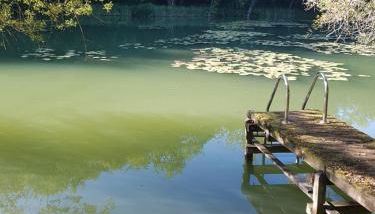 Manoir Périgord Noir/Piscine chauffée/Etang&Forêt - Foto 5